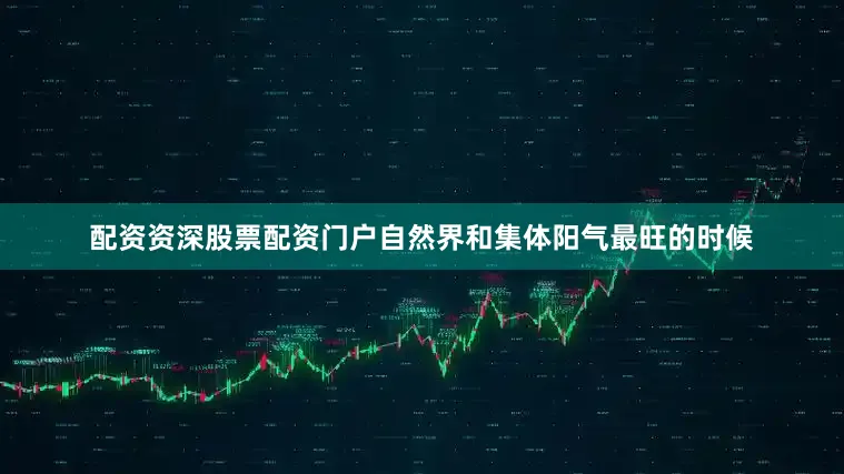 配资资深股票配资门户自然界和集体阳气最旺的时候